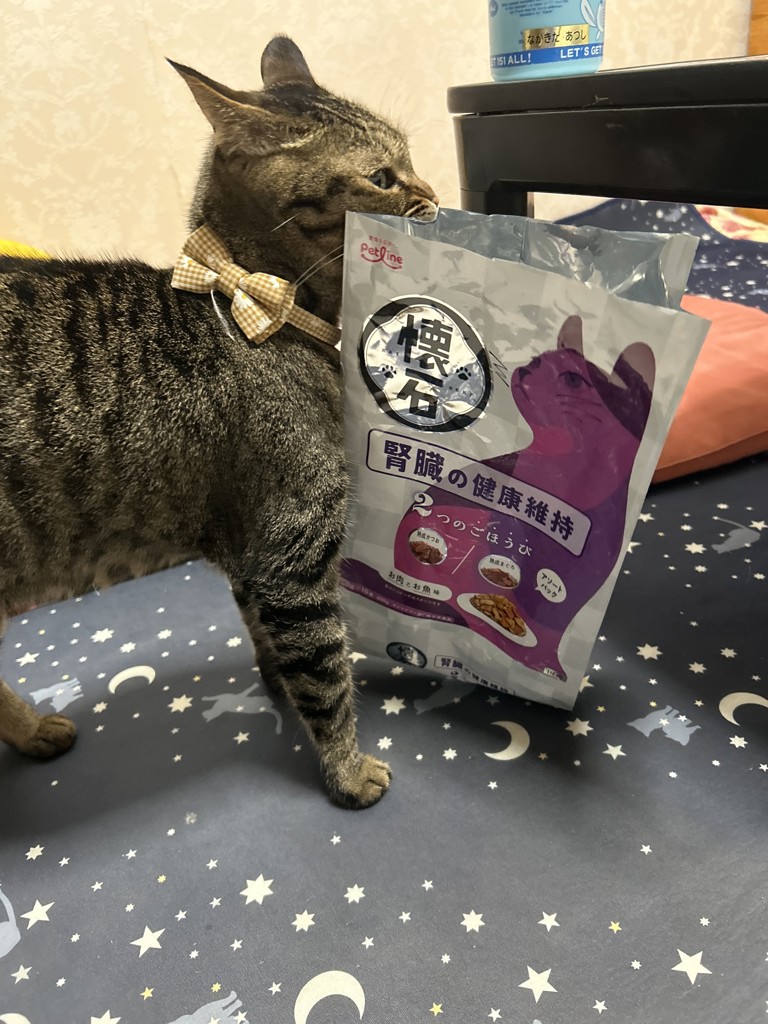 投稿写真