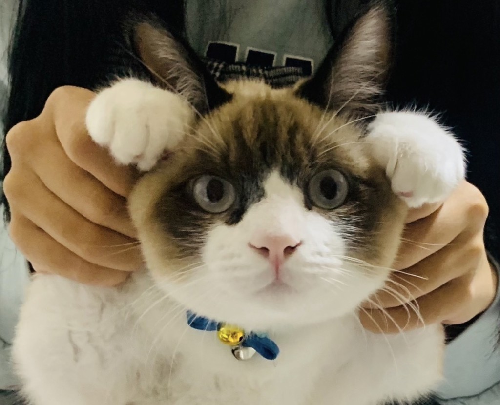 投稿写真