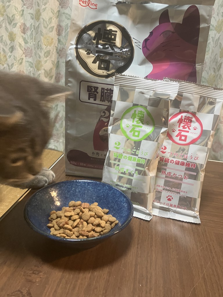 投稿写真