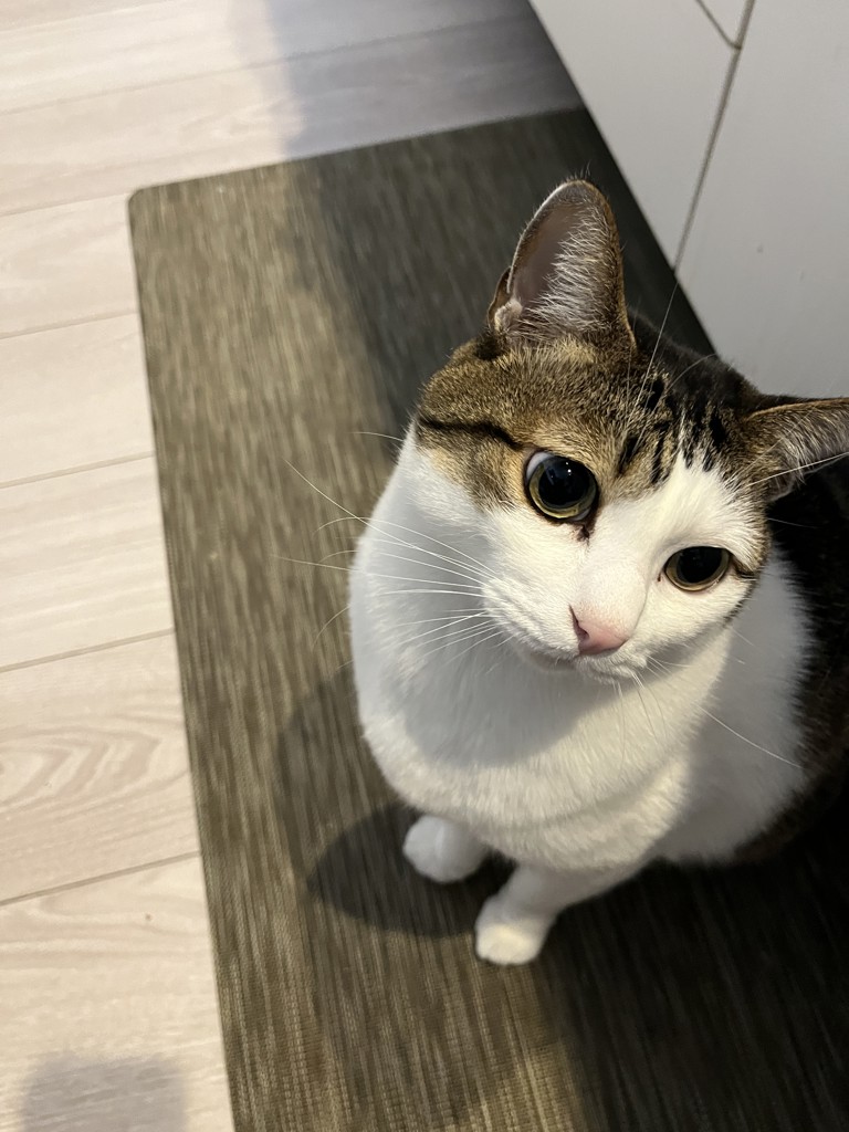ユーザー写真