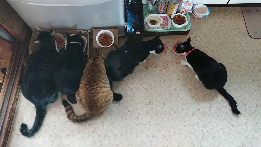 ユーザー写真