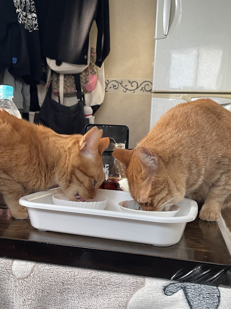 ユーザー写真