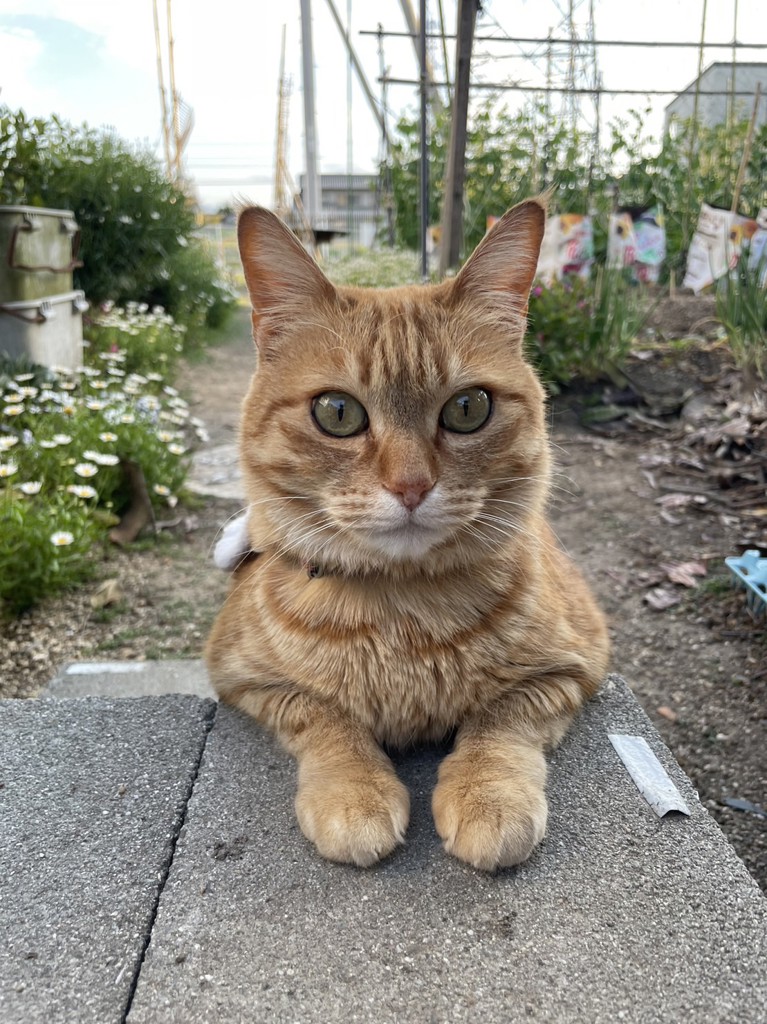 ユーザー写真