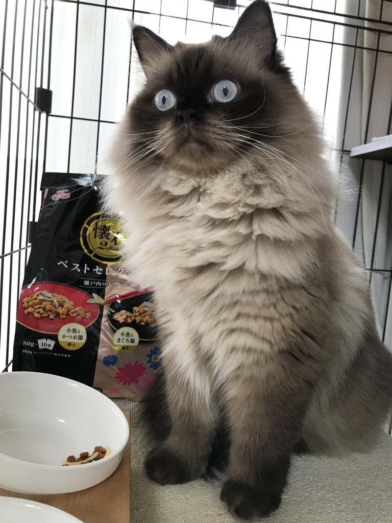 投稿写真