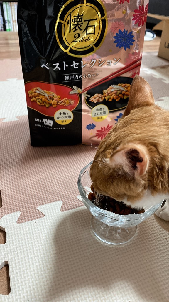 投稿写真