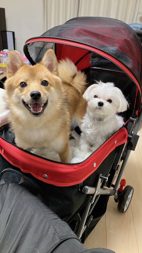 ユーザー写真