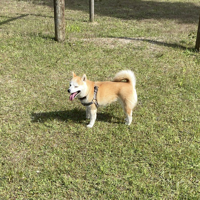 ユーザー写真