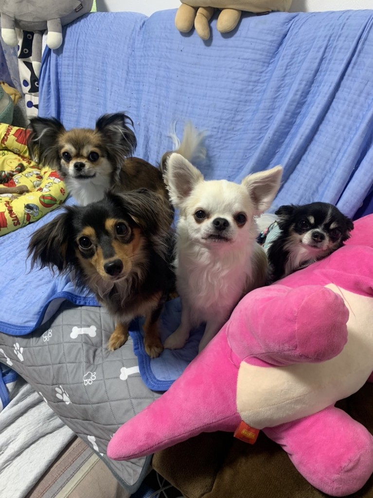 ユーザー写真