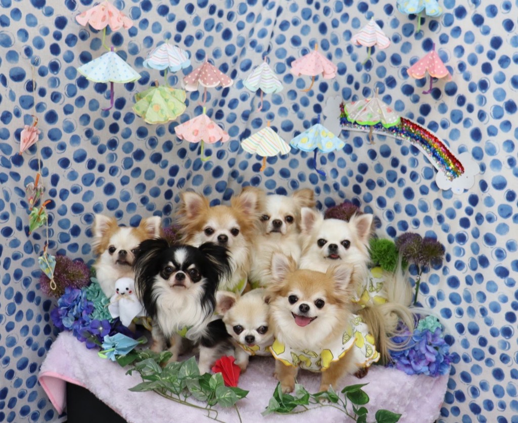 ユーザー写真