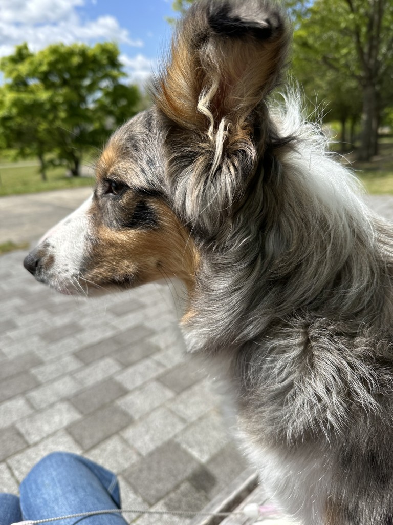 ユーザー写真