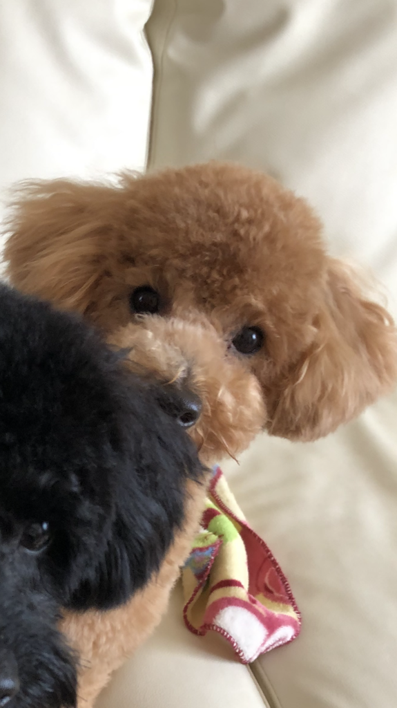ユーザー写真