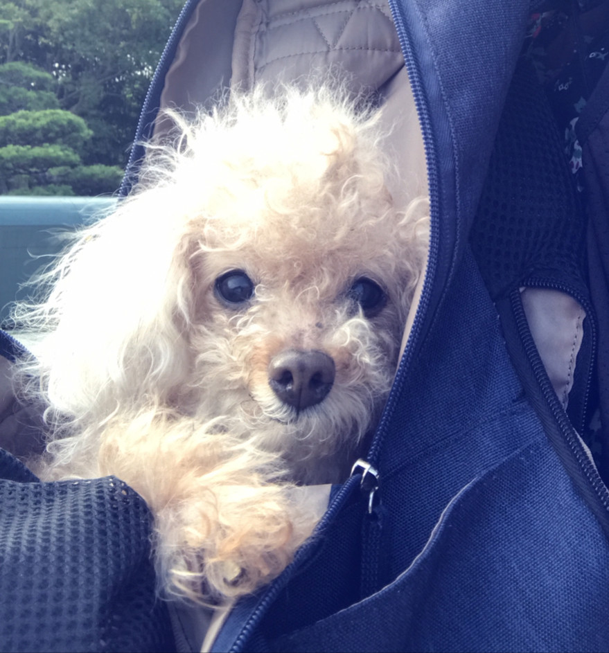 ユーザー写真