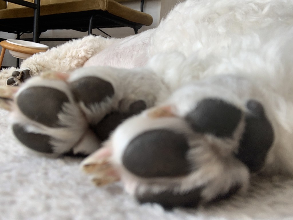 ユーザー写真