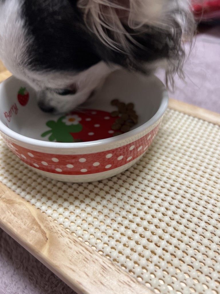 ユーザー写真