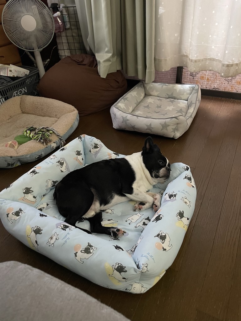 ユーザー写真