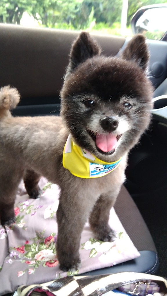 ユーザー写真