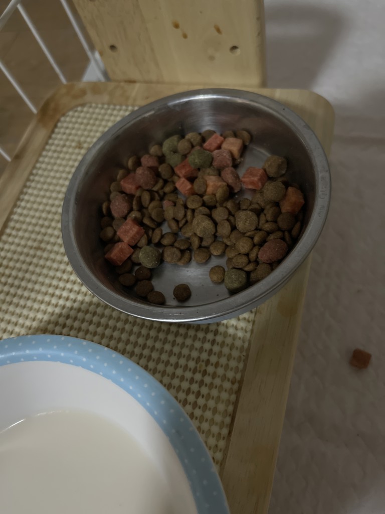ユーザー写真