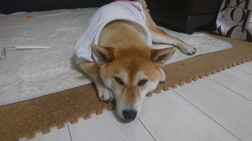 ユーザー写真