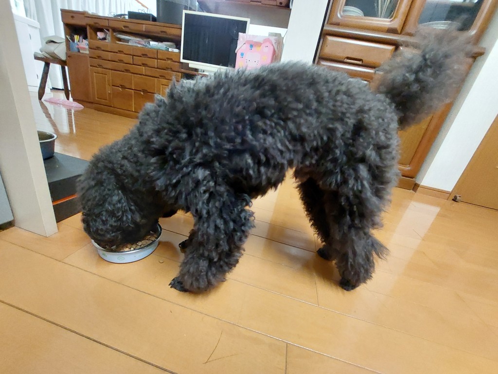 ユーザー写真
