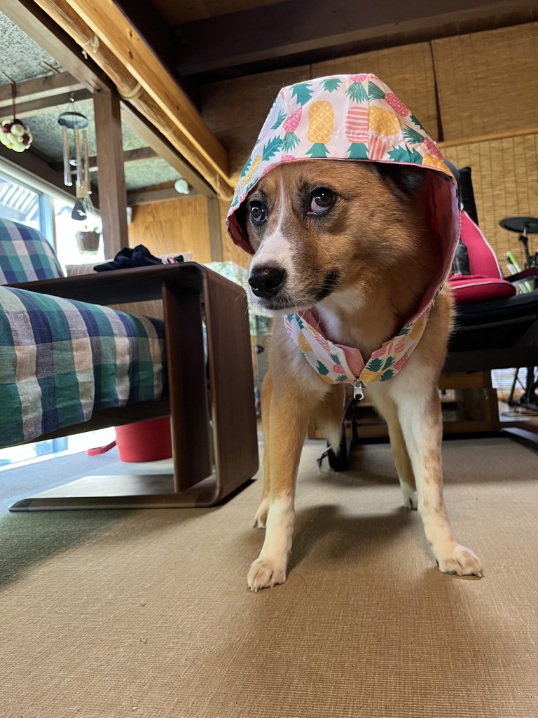 ユーザー写真