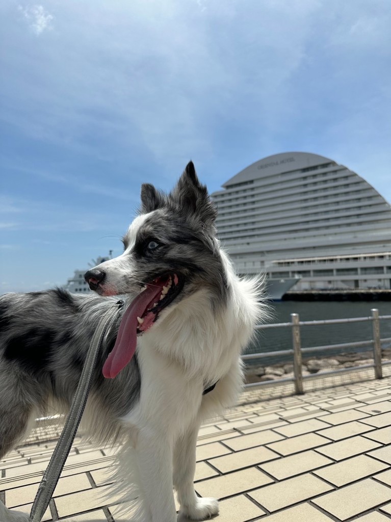 ユーザー写真