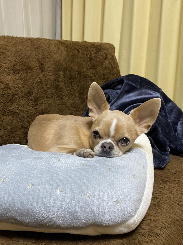 ユーザー写真