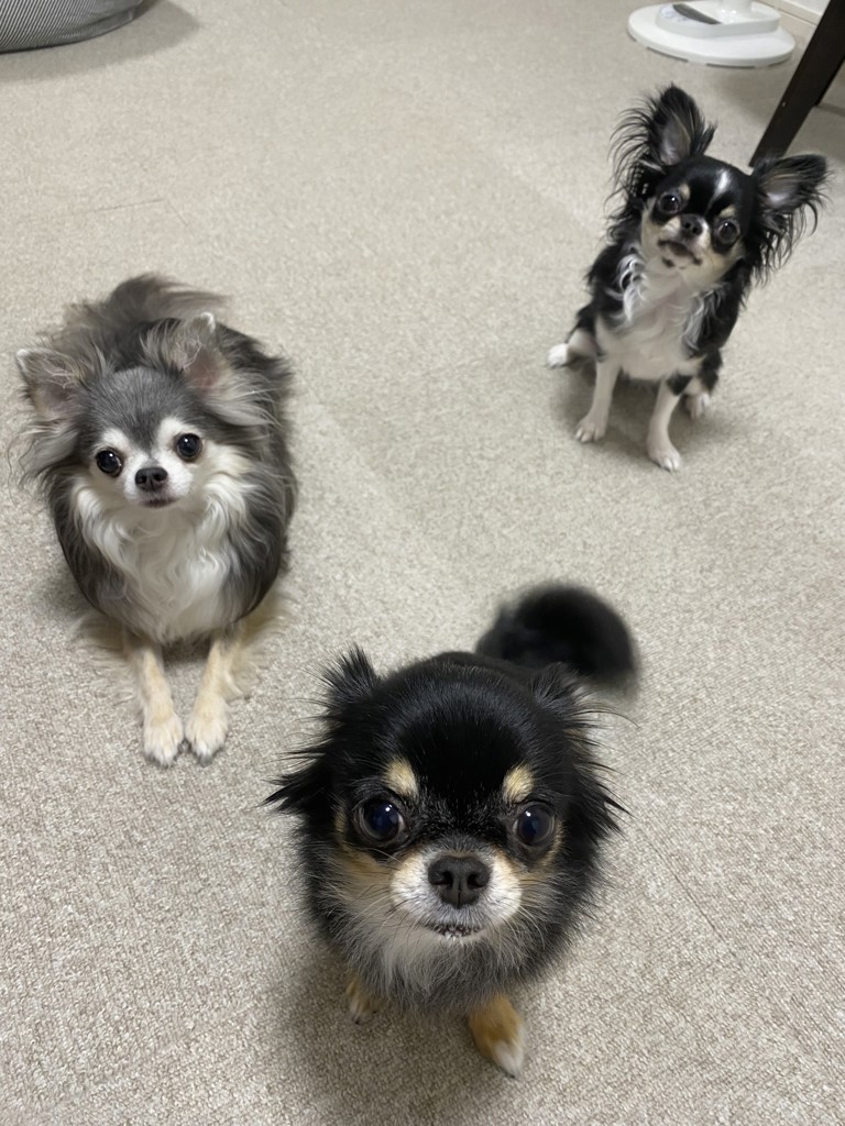 ユーザー写真