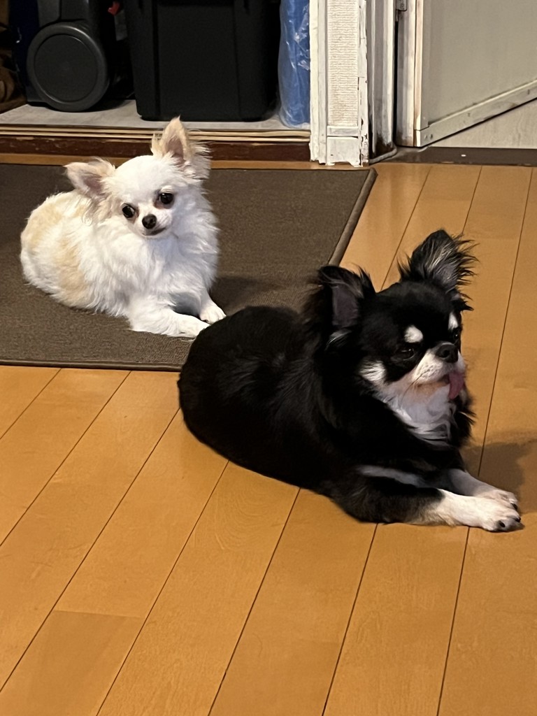 ユーザー写真