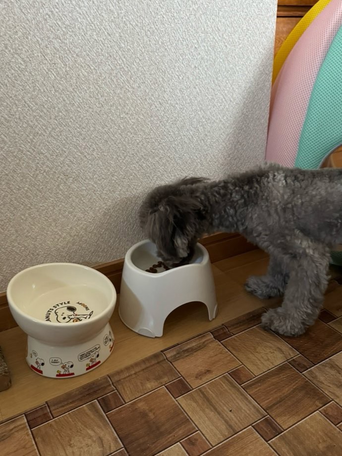 ユーザー写真