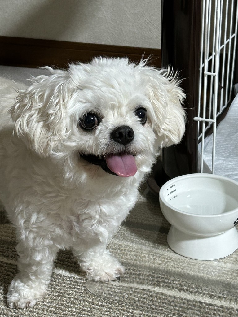 ユーザー写真