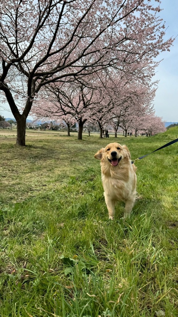 投稿写真