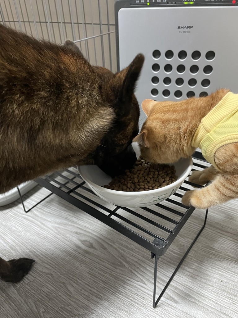 投稿写真