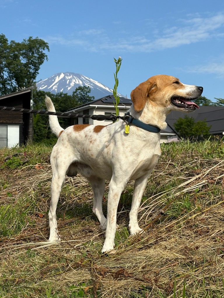 ユーザー写真