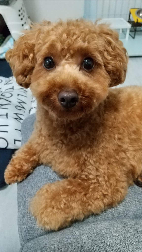 投稿写真