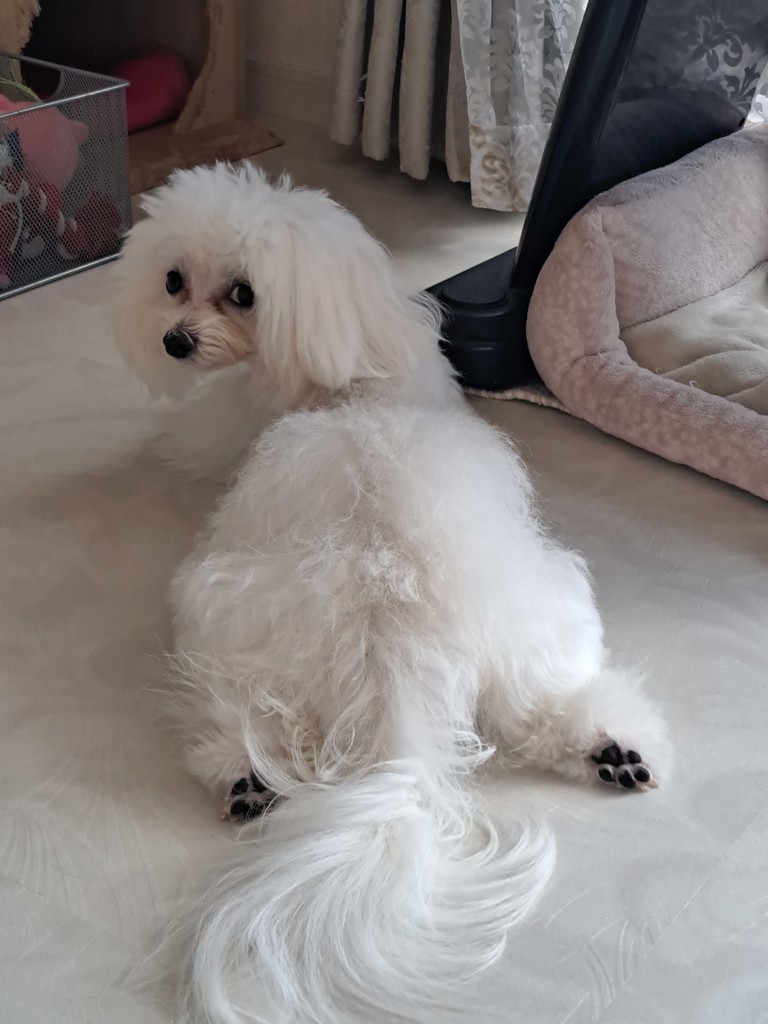 投稿写真