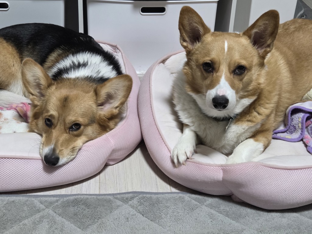投稿写真