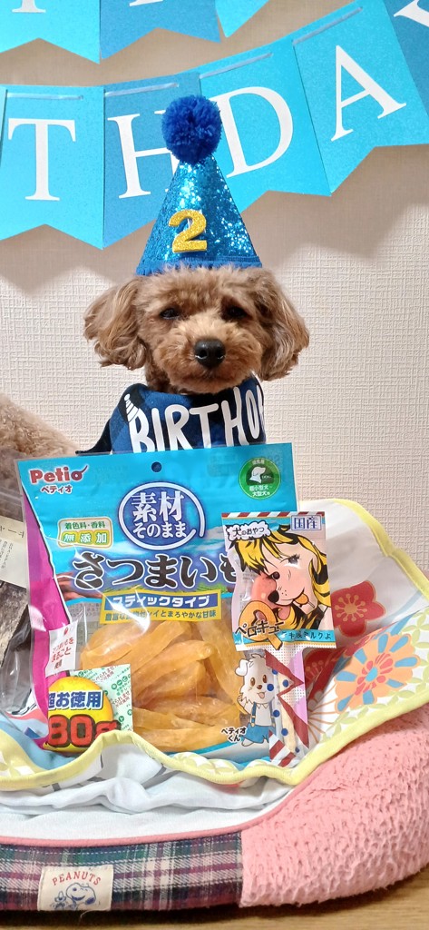 投稿写真