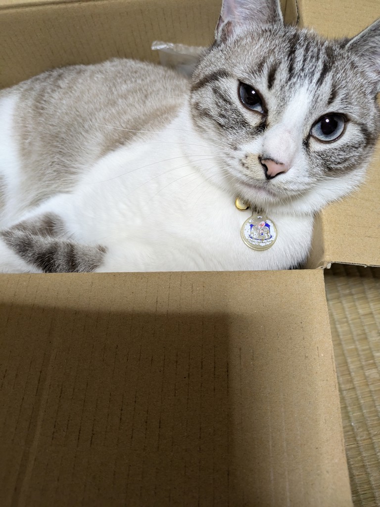 ユーザー写真