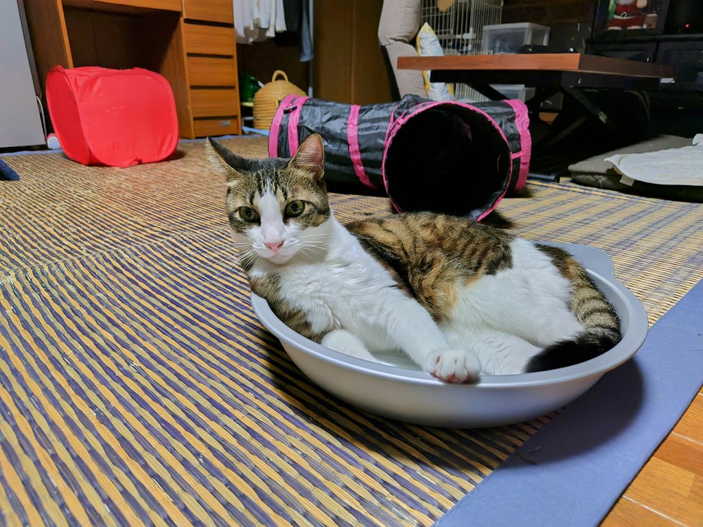 ユーザー写真