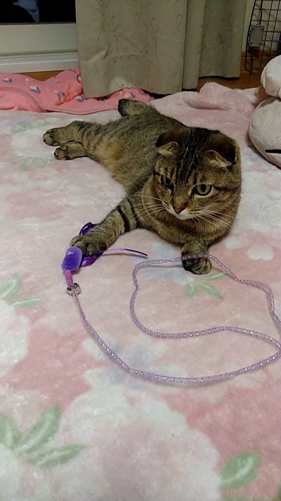 ユーザー写真