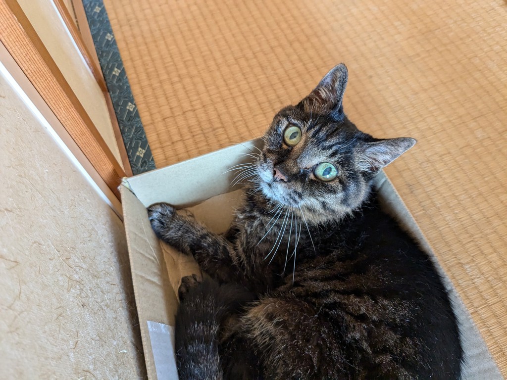 ユーザー写真