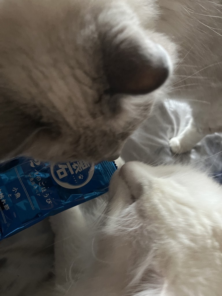 ユーザー写真