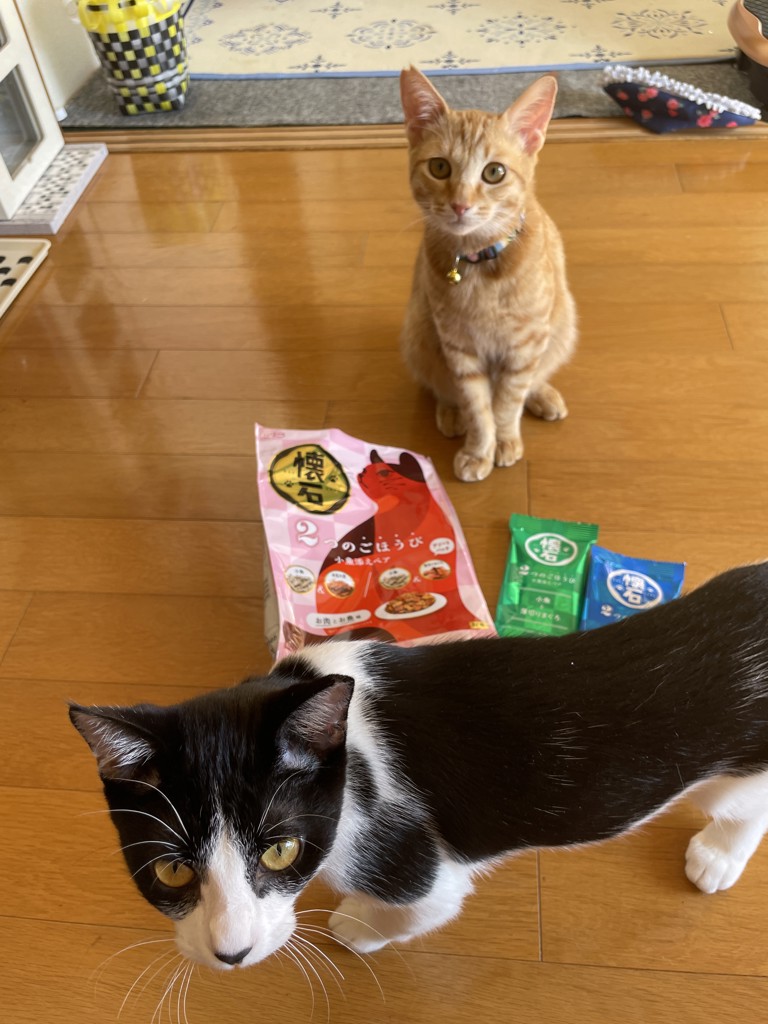 ユーザー写真
