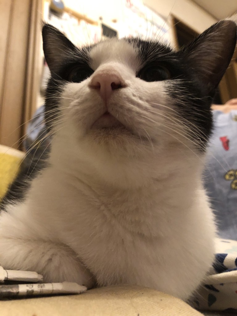 投稿写真
