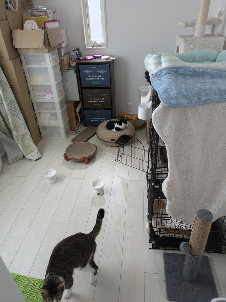 投稿写真
