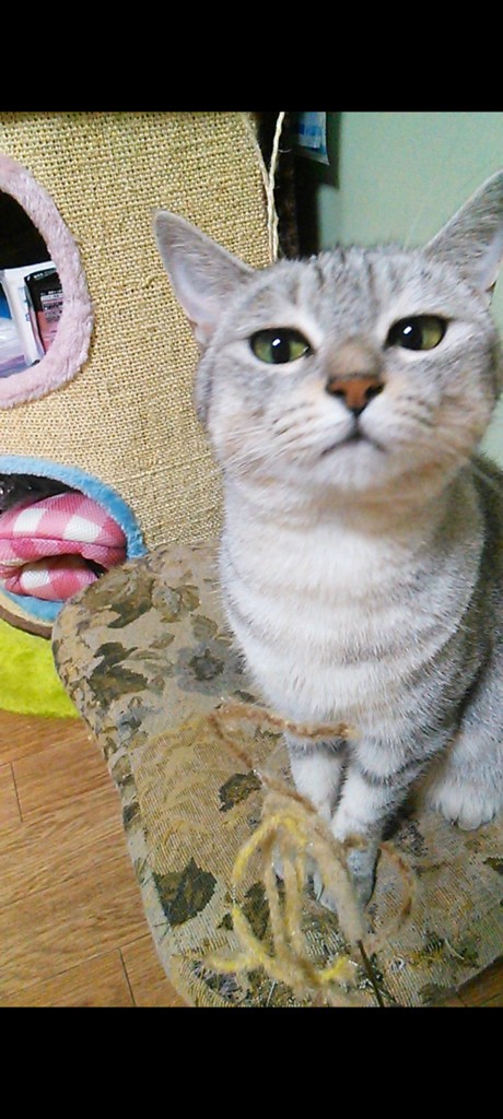 投稿写真