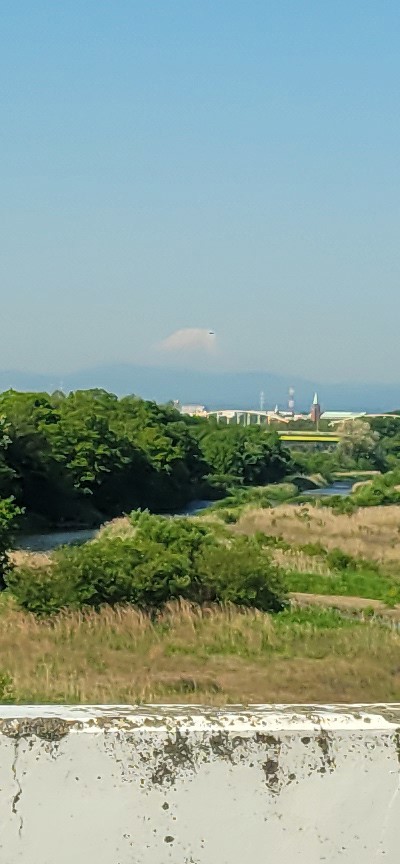 投稿写真