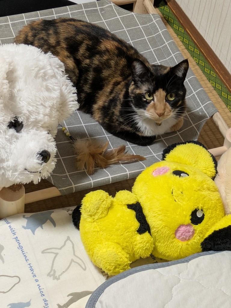 ユーザー写真