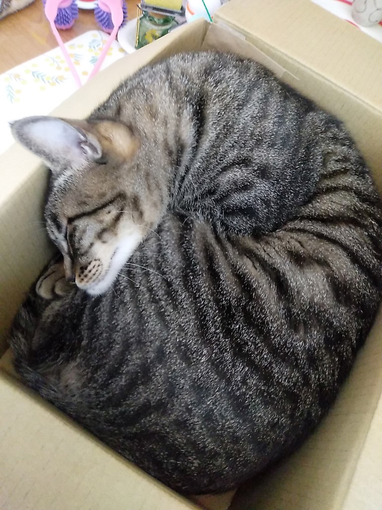 投稿写真