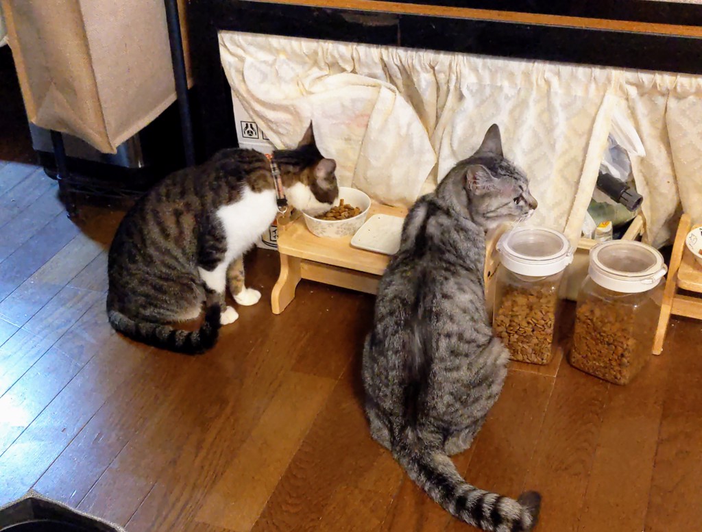 ユーザー写真